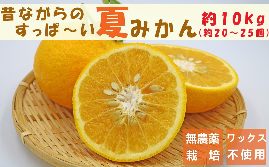 自然の恵みたっぷりのすっぱい夏みかん！瑞々しい果汁たっぷりです。