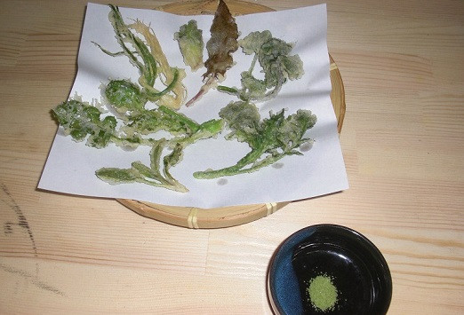 摘んだ野草は天ぷらにして、抹茶塩でいただきます!