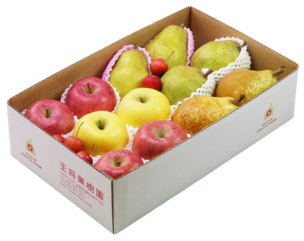 ※写真はイメージです。時期により果物の内容、個数は変わります。