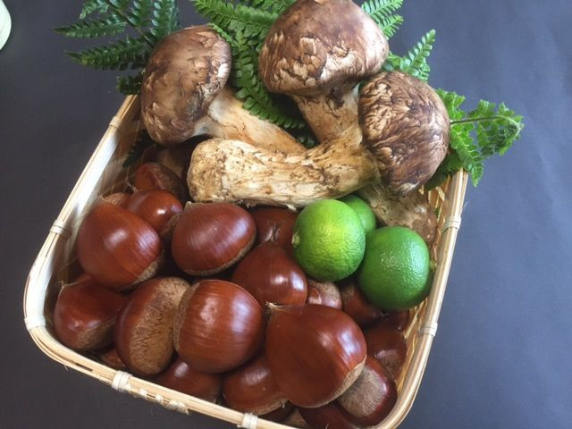 ＜京都・八光館＞極上丹波松茸と丹波栗の詰め合わせ