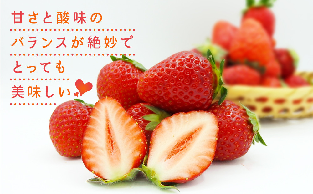 小林農園の完熟いちご「おいCベリー」