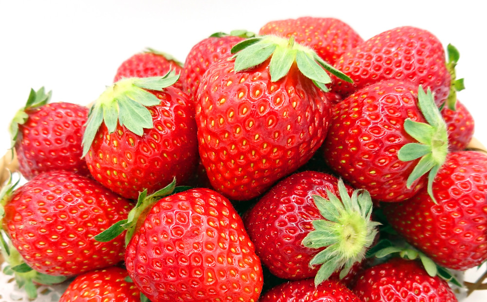 小林農園の完熟いちご「おいCベリー」