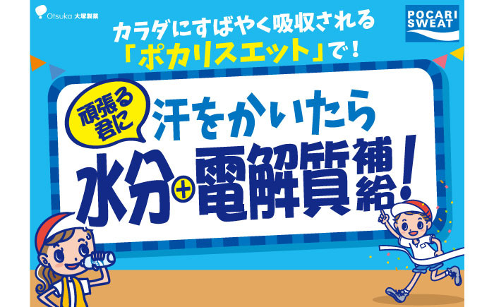 ポカリスエット 500ml 1箱 (24本)