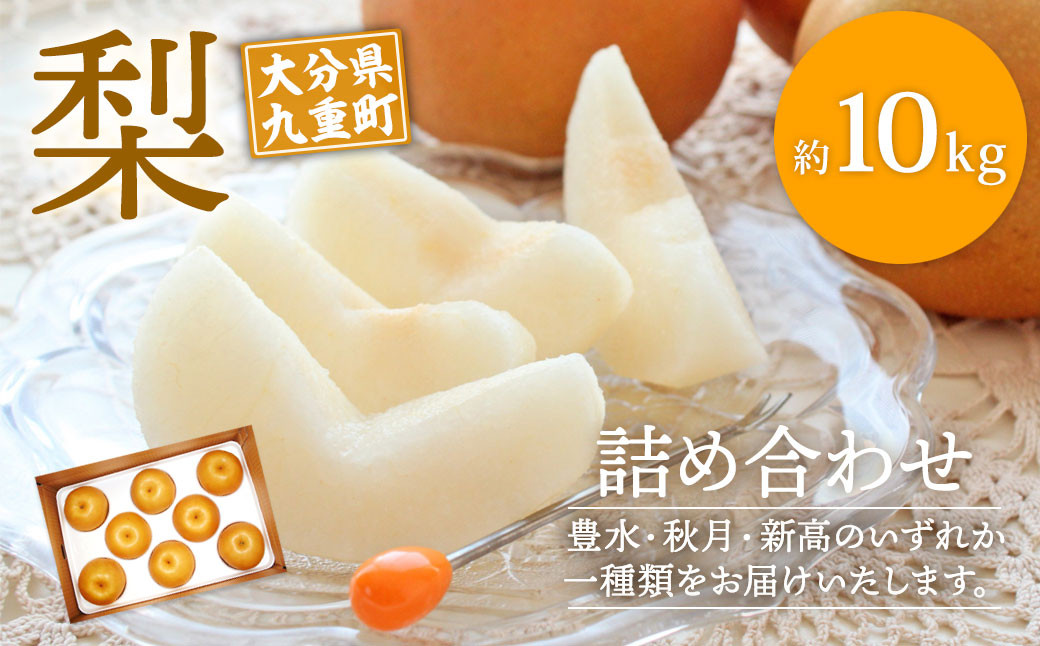 大分県九重町産 梨詰め合わせ 約10kg
