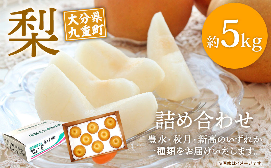 大分県九重町産 梨詰め合わせ 約5kg