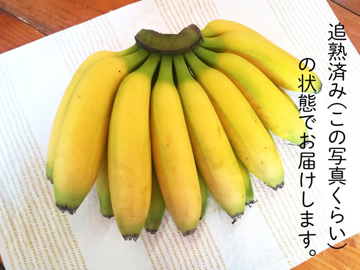国産完熟バナナ（美浜町産）3kg