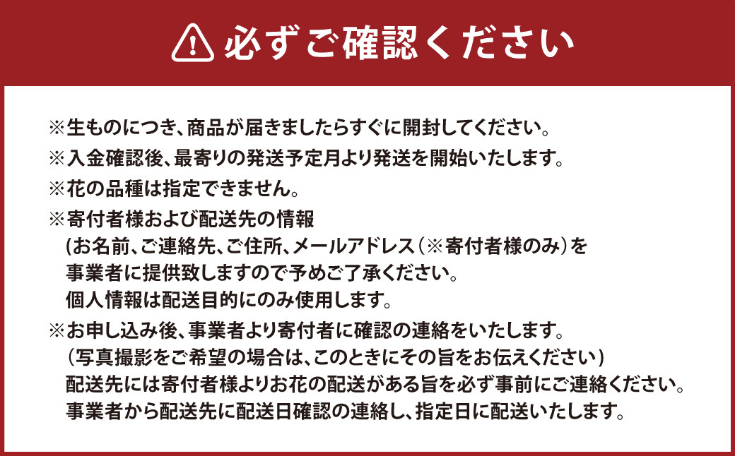 【定期便年12回】大切な方へ毎月お届け　お花の定期便 人吉市内限定 ※画像はイメージです