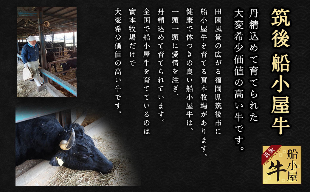 筑後 船小屋牛 三角バラ 500g 牛肉 焼肉 特上カルビ 冷凍