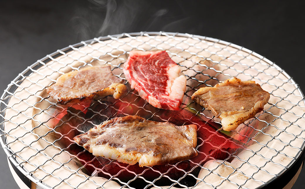 筑後 船小屋牛 リブロース 500g 牛肉 焼肉 特上ロース 冷凍