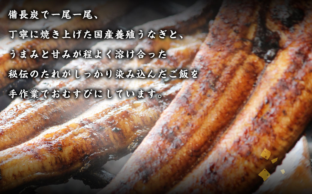 うなぎの蒲焼 1尾 うなむすび 105g×2個 蒲焼 蒲焼き うなぎ 鰻