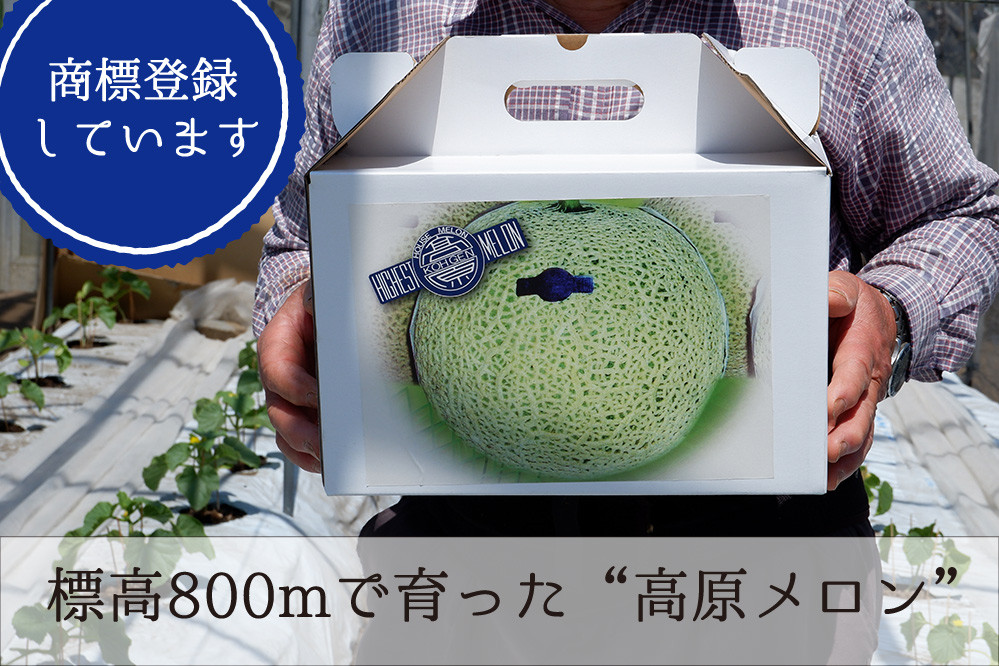 高原メロンは商標登録をした商品です。2玉入りでお届けします