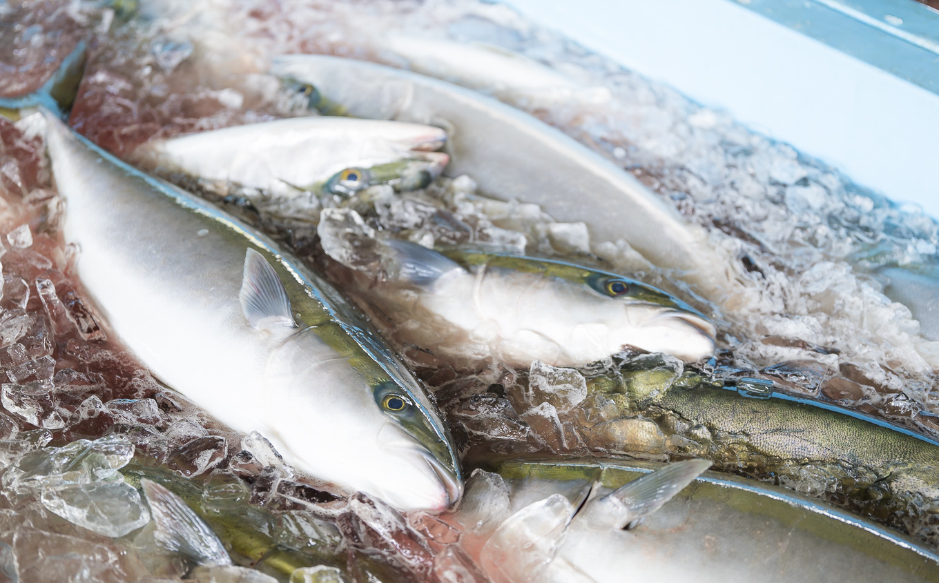 徹底した管理下で育成した脂の乗った養殖ブリのみを使用!