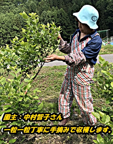 お一人で一樹一葉丁寧に確認