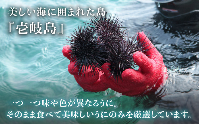 人気   うに ウニ 雲丹  新鮮 海鮮 特産品 贈り物 ギフト 高級  魚介 