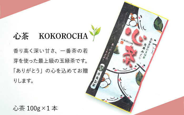 GA13 【棚田の恵み】どれがお好き?長崎玉緑茶5種飲み比べセット-2