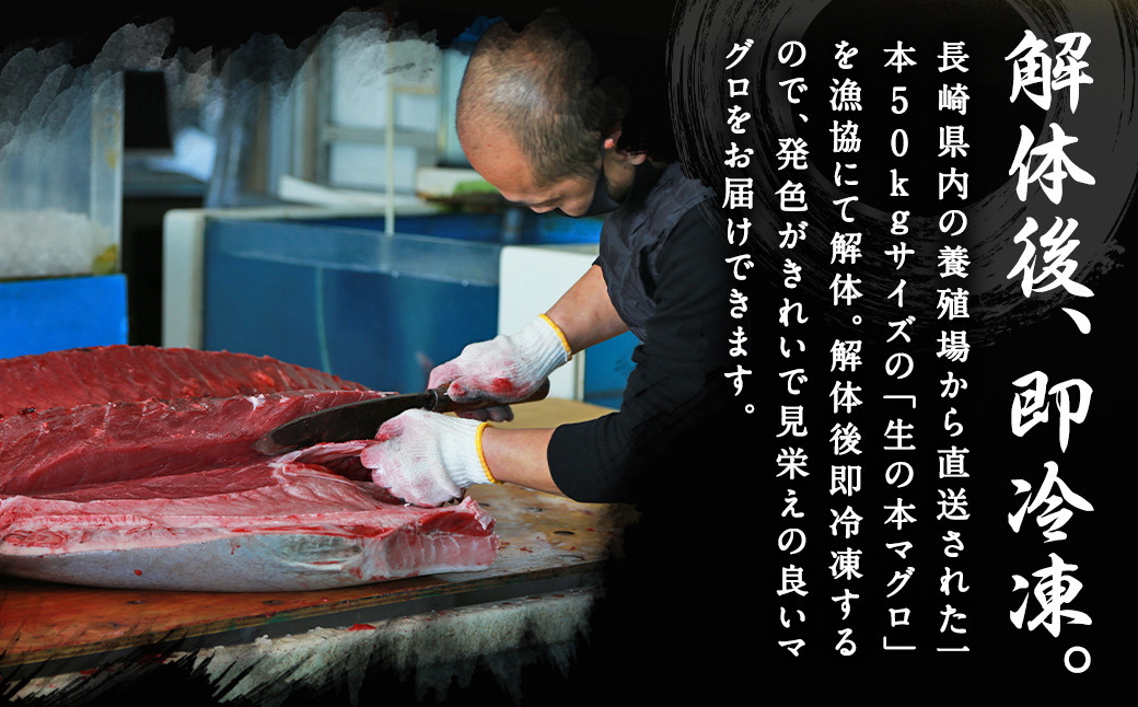 長崎県産 本マグロ3種盛り「大トロ・中トロ・赤身」約3kg