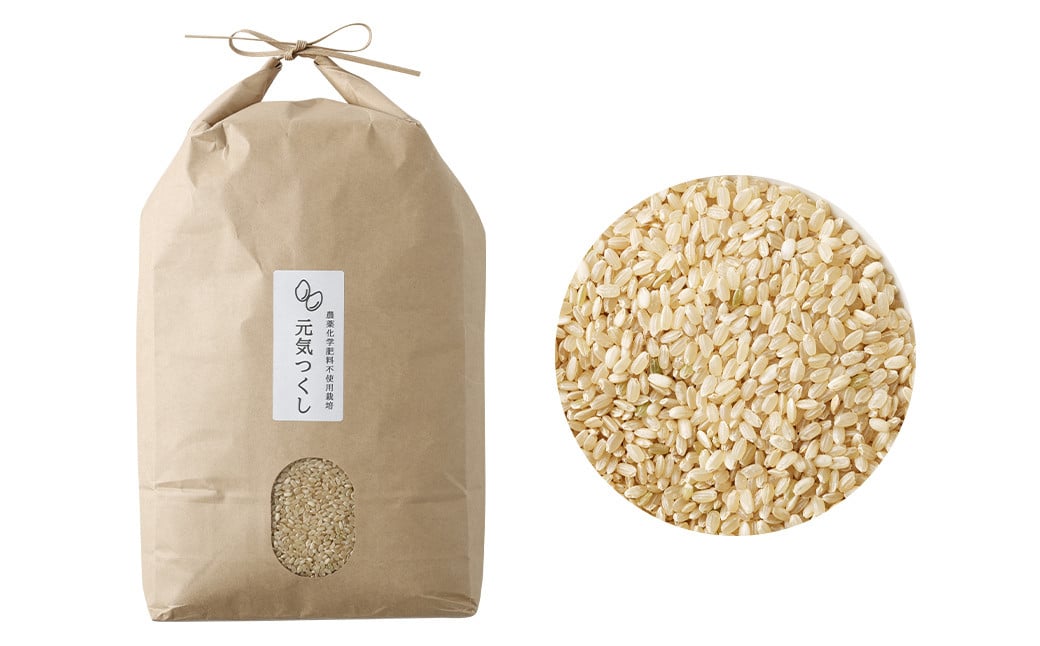 【栽培期間中肥料・農薬不使用】福岡県産 元気つくし 玄米 5kg