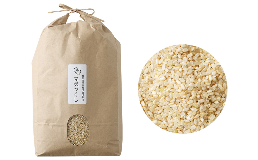 【栽培期間中肥料・農薬不使用】福岡県産 元気つくし 三分づき 5kg