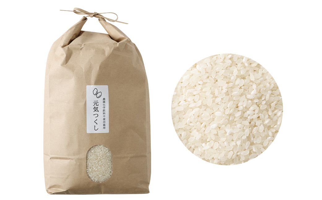 【栽培期間中肥料・農薬不使用】福岡県産 元気つくし 白米 5kg