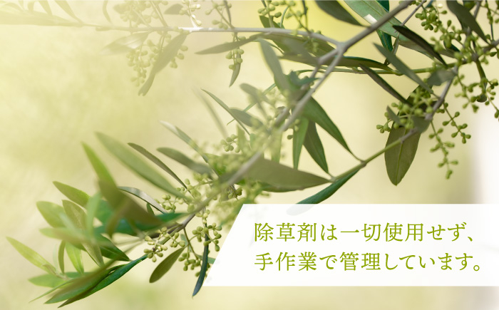 リップ リップクリーム オリーブ 保湿 化粧 美容 天然