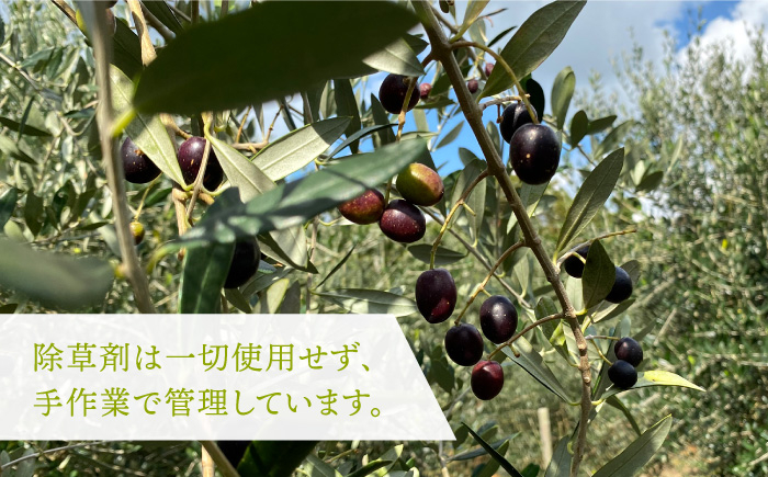 オリーブ オリーブオイル オイル  プレゼント ギフト 美容 美肌 スキンケア