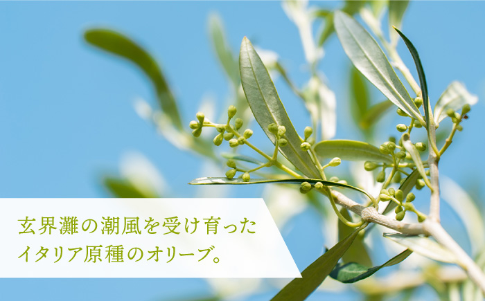 リップ リップクリーム オリーブ 保湿 化粧 美容 天然