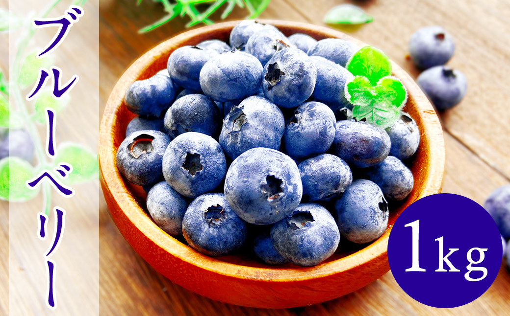 さわやかな夏の味覚、ブルーベリーが今年もできました。
植えてから33年一切農薬を使用せずに栽培しています。