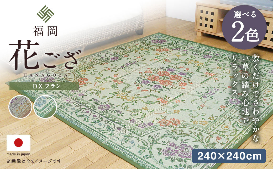 福岡 花ござ DXフラン 240×240cm（ベージュ/グリーン）カーペット ラグ