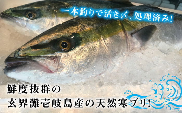 人気  おすすめ オススメ 天然ぶり 天然ブリ 天然鰤 しゃぶしゃぶ ぶりしゃぶ