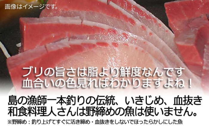 人気  おすすめ オススメ 天然ぶり 天然ブリ 天然鰤 しゃぶしゃぶ ぶりしゃぶ