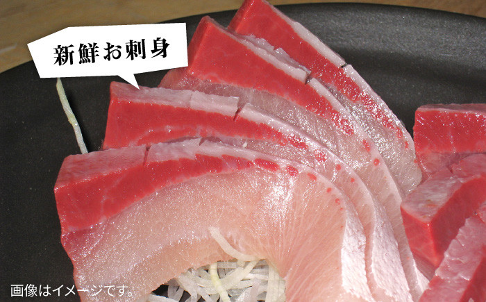 人気  おすすめ オススメ 天然ぶり 天然ブリ 天然鰤 しゃぶしゃぶ ぶりしゃぶ