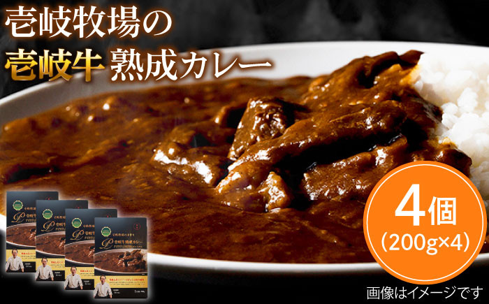 カレー 人気 和牛  壱岐牛 希少 柔らかい やわらかい 贈り物 ギフト  肉 