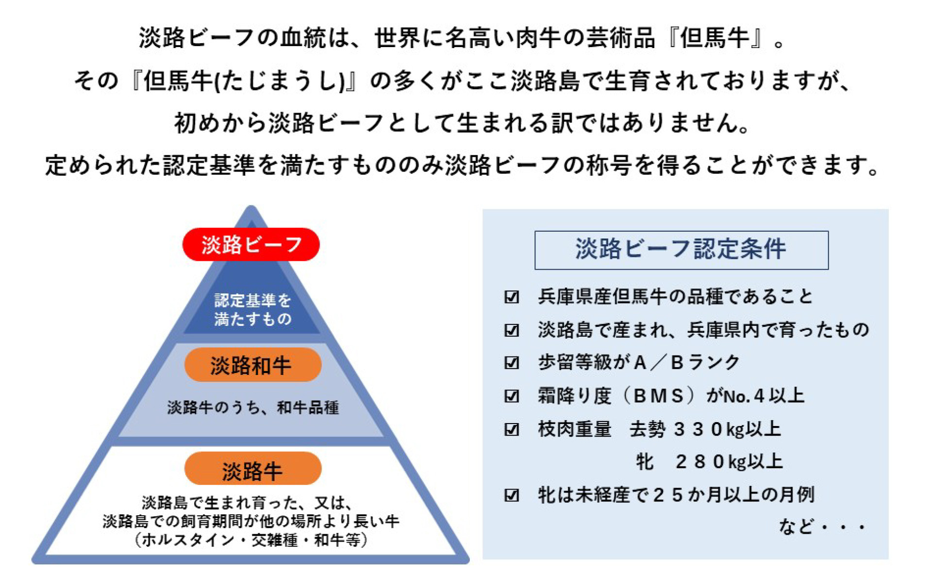 【美菜恋来屋】ほんまもん淡路島　淡路ビーフ（焼肉用）&海の幸セット（竹）
