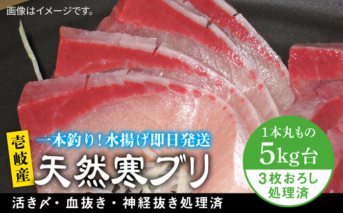 人気  おすすめ オススメ 天然ぶり 天然ブリ 天然鰤 しゃぶしゃぶ ぶりしゃぶ