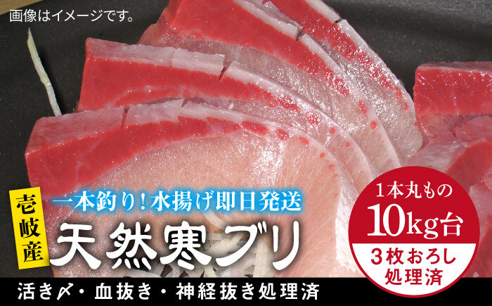 人気  おすすめ オススメ 天然ぶり 天然ブリ 天然鰤 しゃぶしゃぶ ぶりしゃぶ