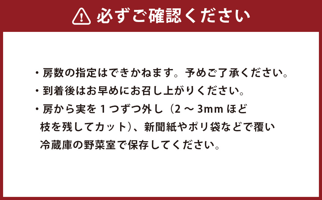 【数量限定】シャインマスカット 1kg 2房
