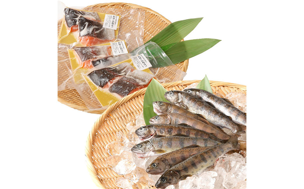 阿蘇から届く かわべの湧水やまめ 640g(内臓処理済8匹)と かわべのASOサーモン塩麴仕立て 480g(80g×6切)