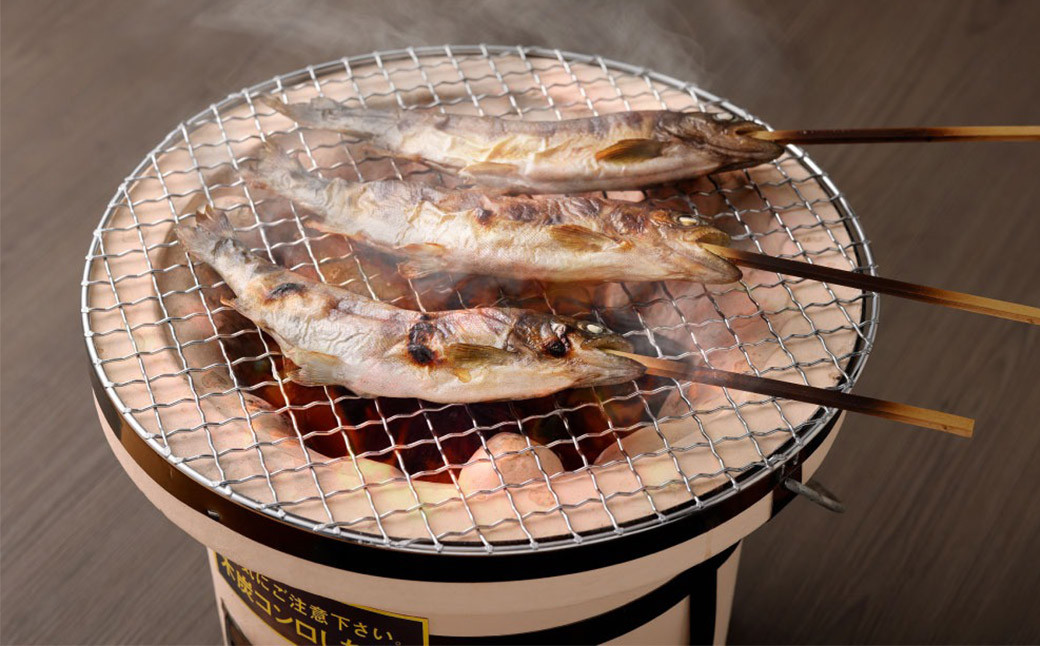 阿蘇から届く かわべの湧水やまめ (内臓処理済・串つき16匹) 