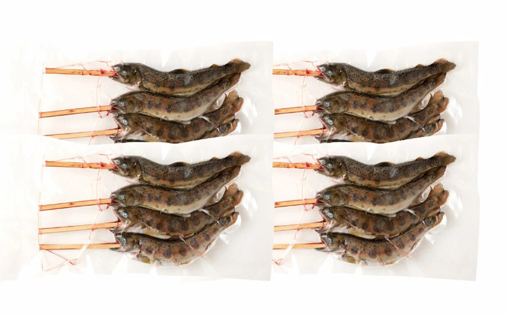 阿蘇から届く かわべの湧水やまめ (内臓処理済・串つき16匹) 