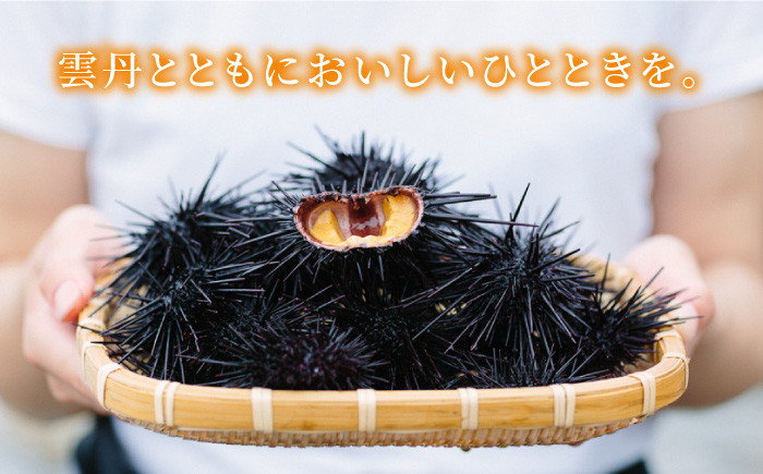 人気   うに ウニ 雲丹  新鮮 海鮮 特産品 贈り物 ギフト   魚介