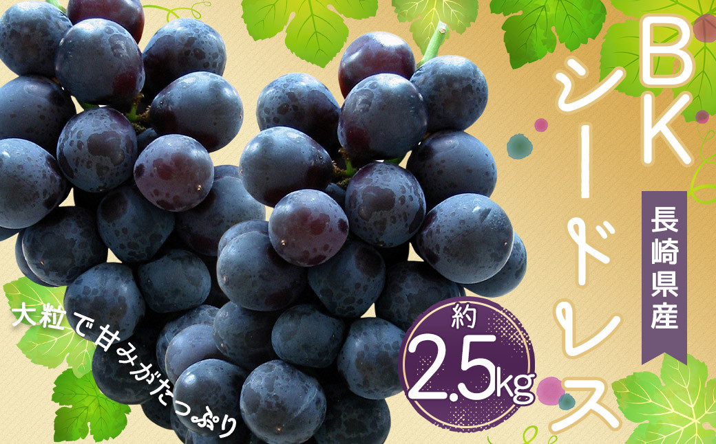 時津町産 BKシードレス 約2.5kg ぶどう