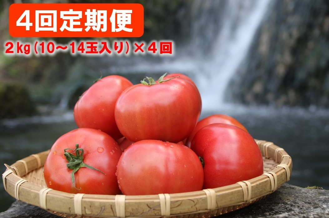 ひとつひとつが、しっかりとして肉厚です。