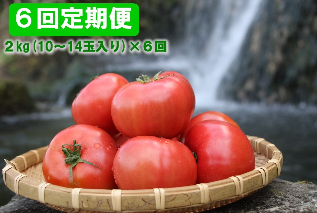 ひとつひとつが、しっかりとして肉厚です。