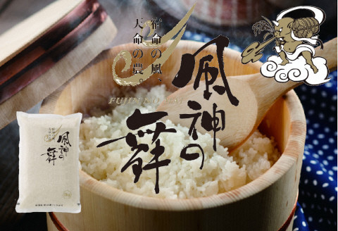 風を宿命として農に生きる「風神の舞」（コシヒカリ） 　５kg