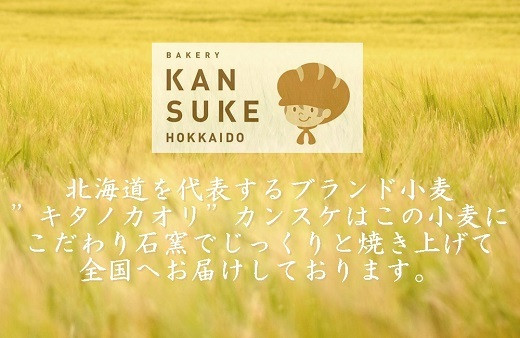 大人気！！石窯焼きのおまかせパン詰め合わせ18個セット【19114】