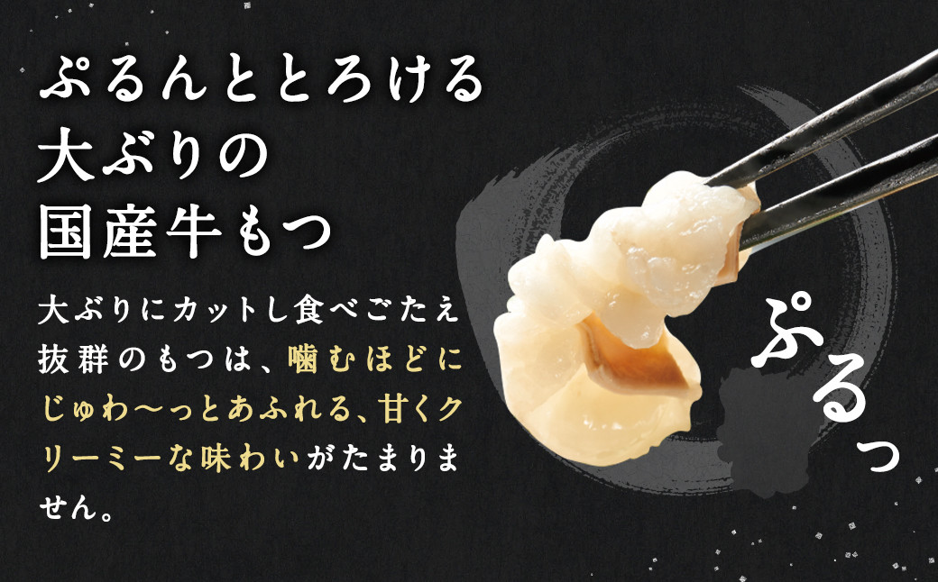 もつ鍋セット 牛もつ たっぷり600g！大容量5～6人前 博多もつ鍋やまや