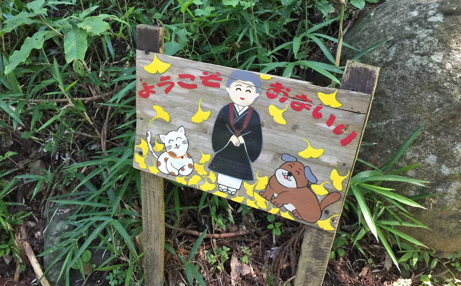 画像はイメージです