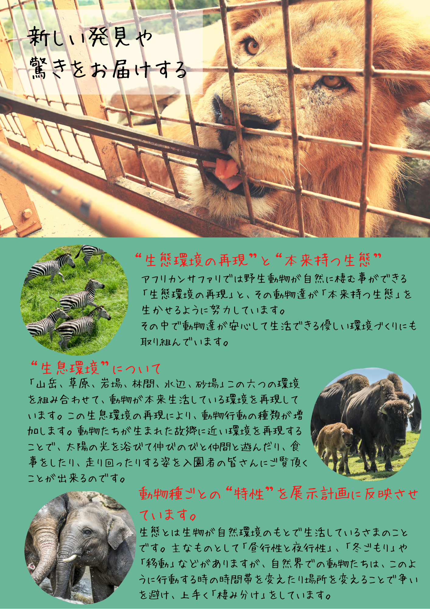 アフリカンサファリ 入園券