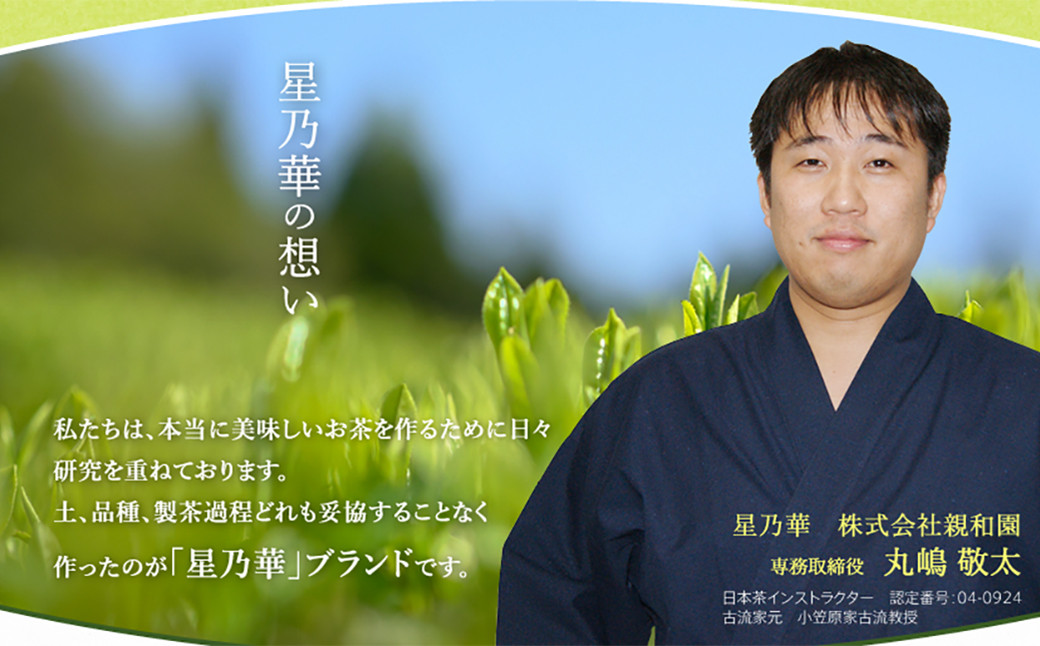 八女星野 玉露 ティーバッグ 計250g(2.5g×100個) 緑茶 お茶