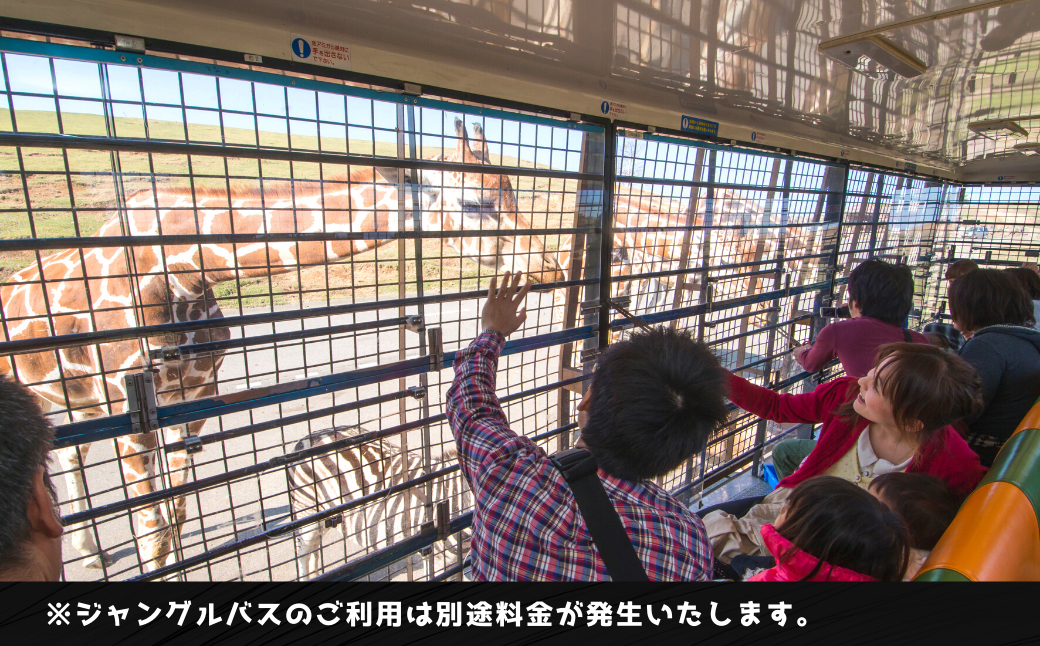 アフリカンサファリ 入園券
